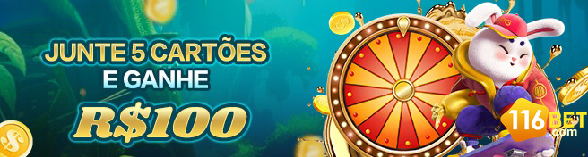 116bet.com - participar premium apostas esportivas online